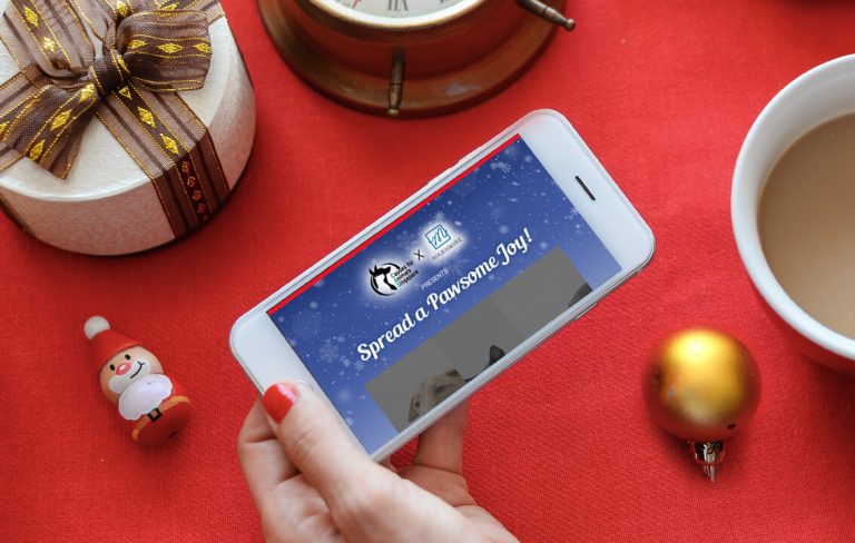 How The Festive Magic Can Help Your Brand Grow